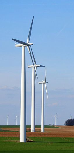 1650362163003.jpg 无标题-1.jpg